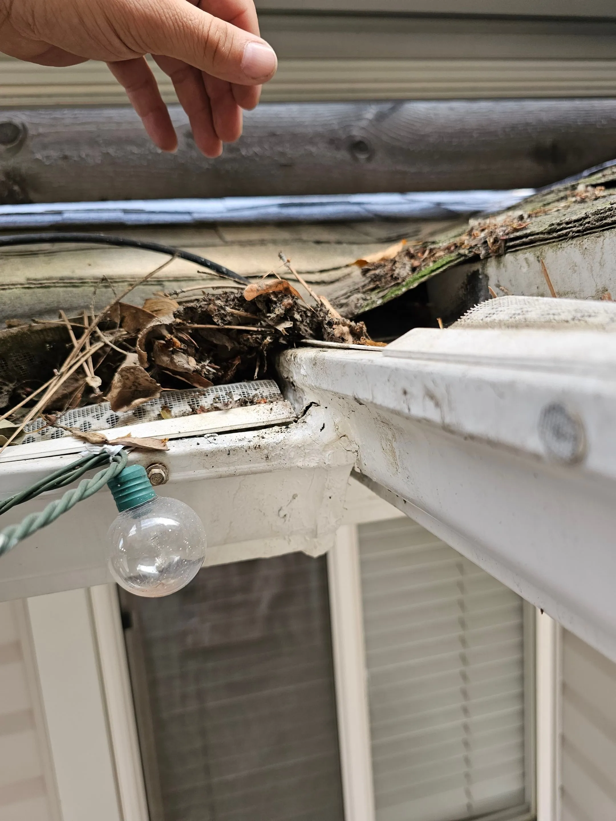 Leaves and other debris packed inside a white gutter