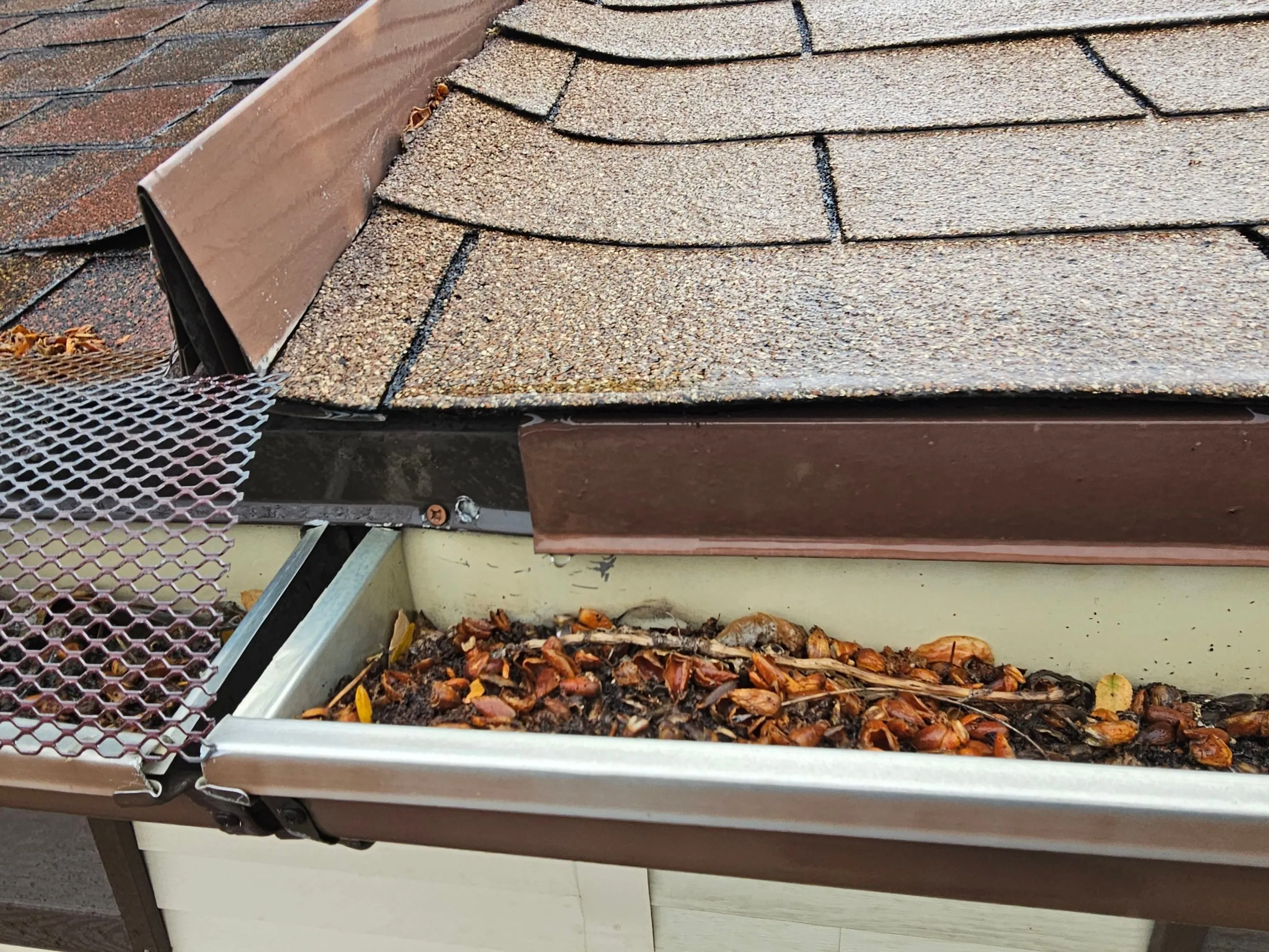 Leaves and debris collected inside a roof gutter