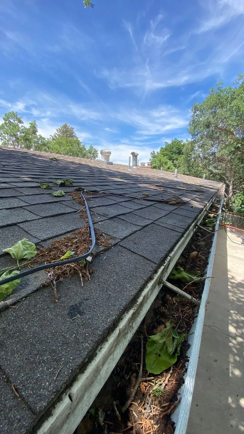 Leaves and branches filling a gutter along a shingled roof