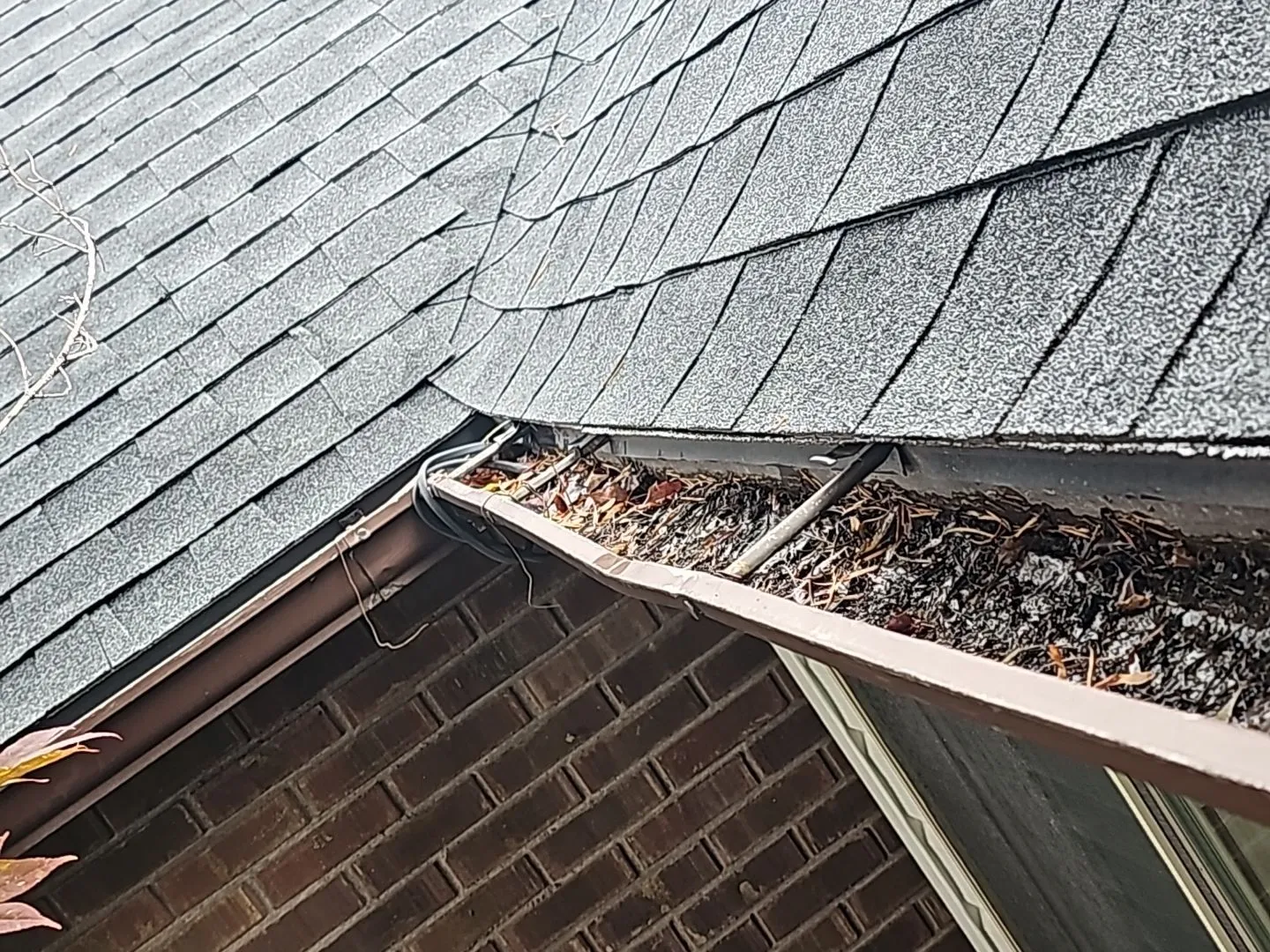 Leaves and debris collected inside a roof gutter at a roof valley